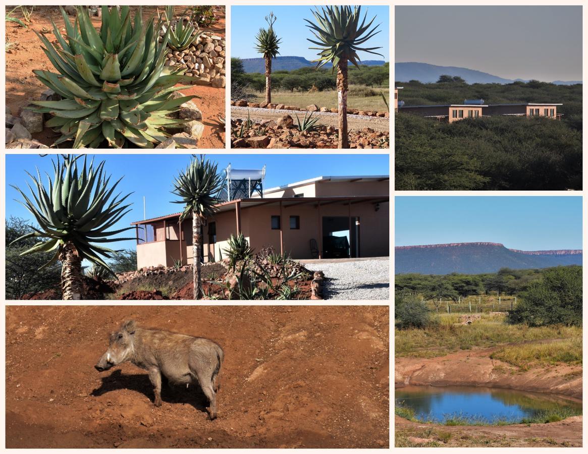 Cheetah View Lodge Otjiwarongo Esterno foto
